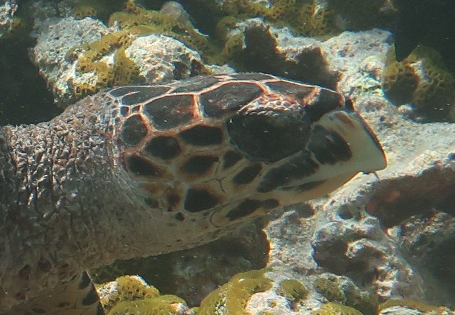 f561ff65-7e80-4094-892c-1e2bbaa6d4d1