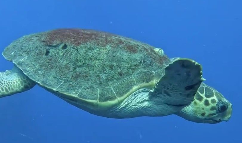 a5a5ee5f-a37c-4bb5-93d6-d5d1f2a3416c