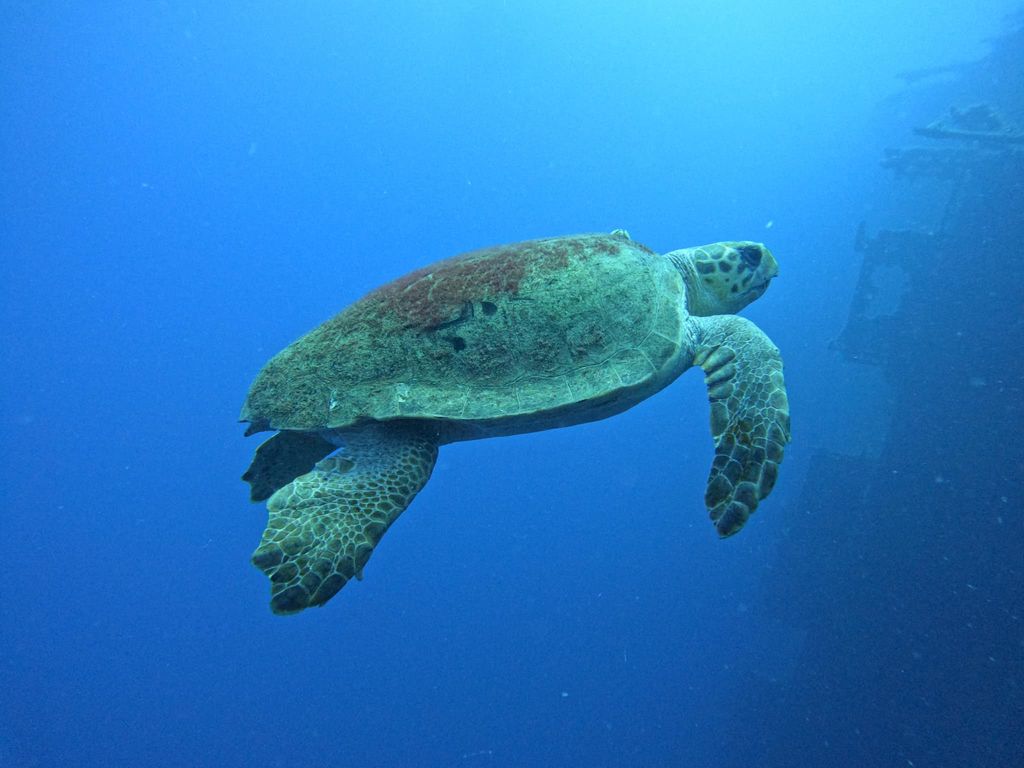 a5a5ee5f-a37c-4bb5-93d6-d5d1f2a3416c