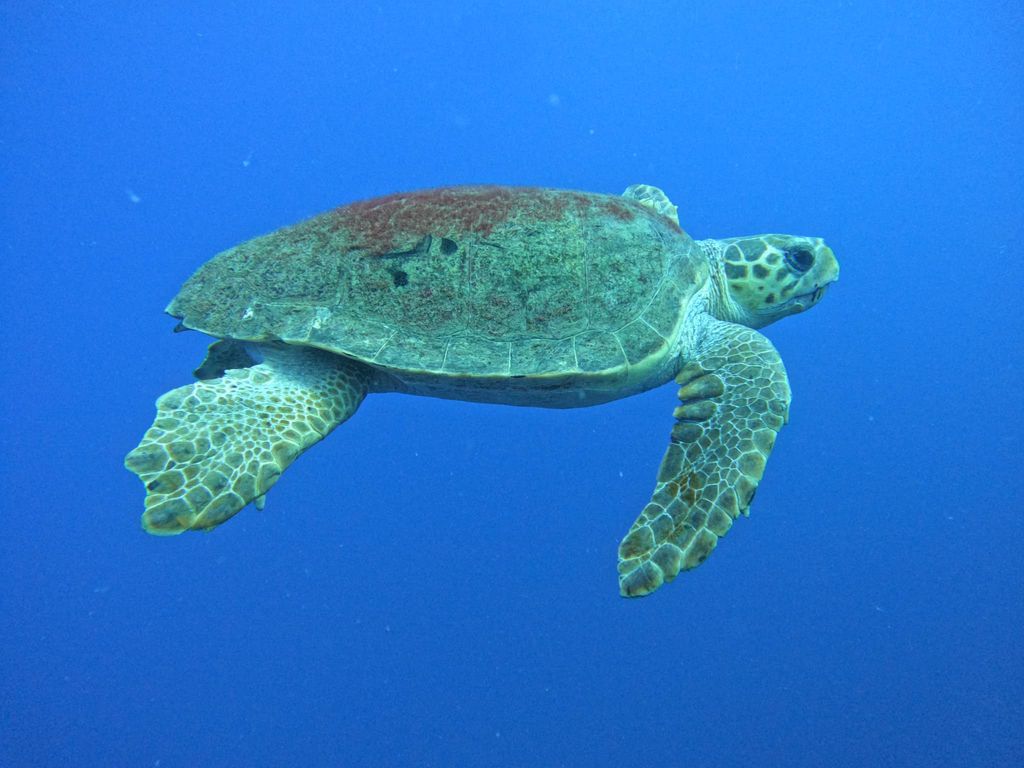 a5a5ee5f-a37c-4bb5-93d6-d5d1f2a3416c