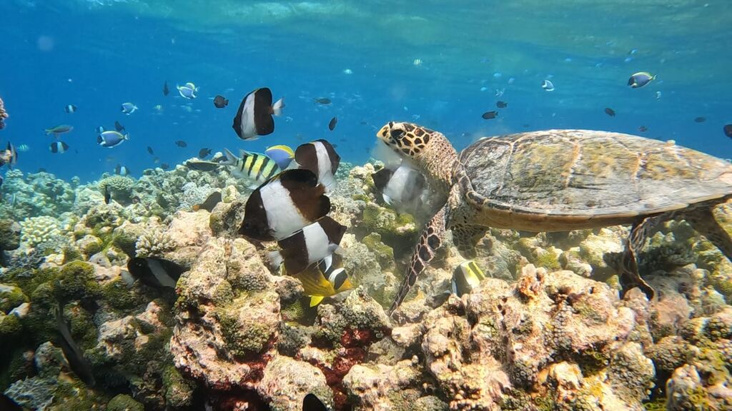 f3a0f362-632d-409c-ba17-1ab0d2547e90