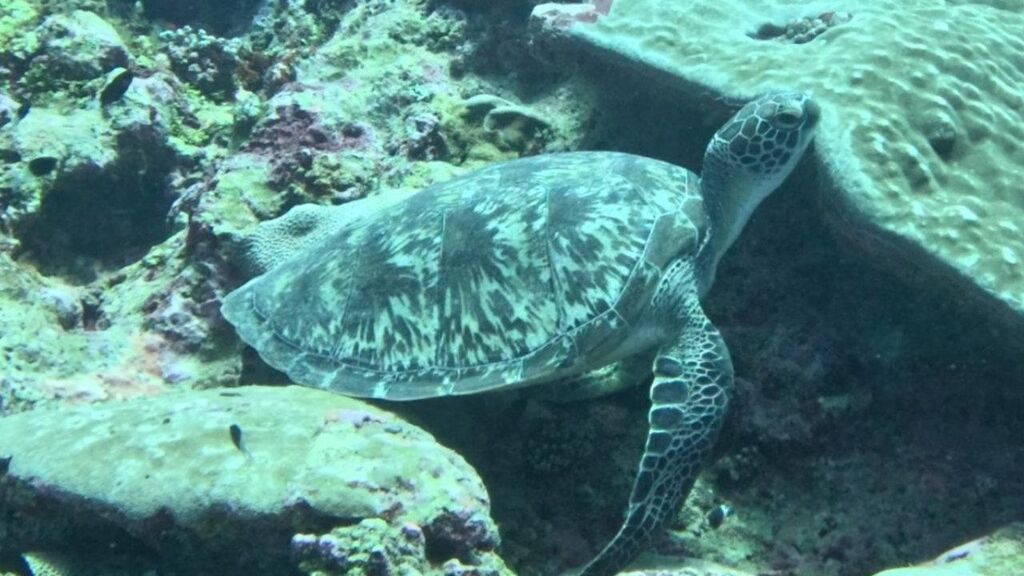 72fa4c24-2108-4096-abb7-f6cfdc5af851