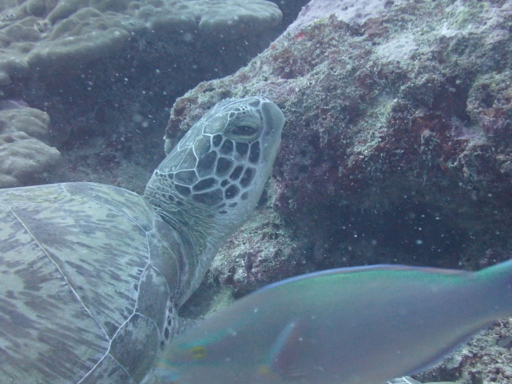 23bf17b1-c0a3-4ce8-9f4a-e7453f32ff60