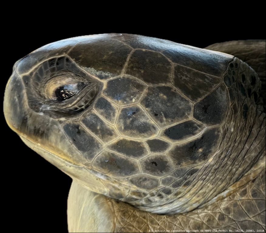 6ec90ed1-79b0-4114-9ee6-4a457e6e478a