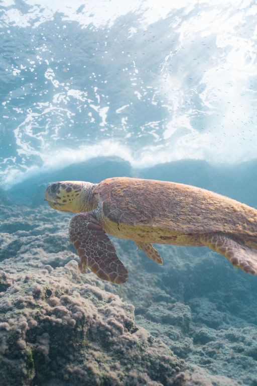 d354301a-5081-40b5-a95a-d8e20ea46565