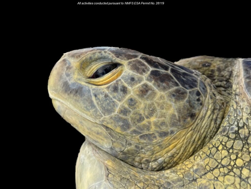 136c01c9-4f4d-4755-bec9-c916c3635a19