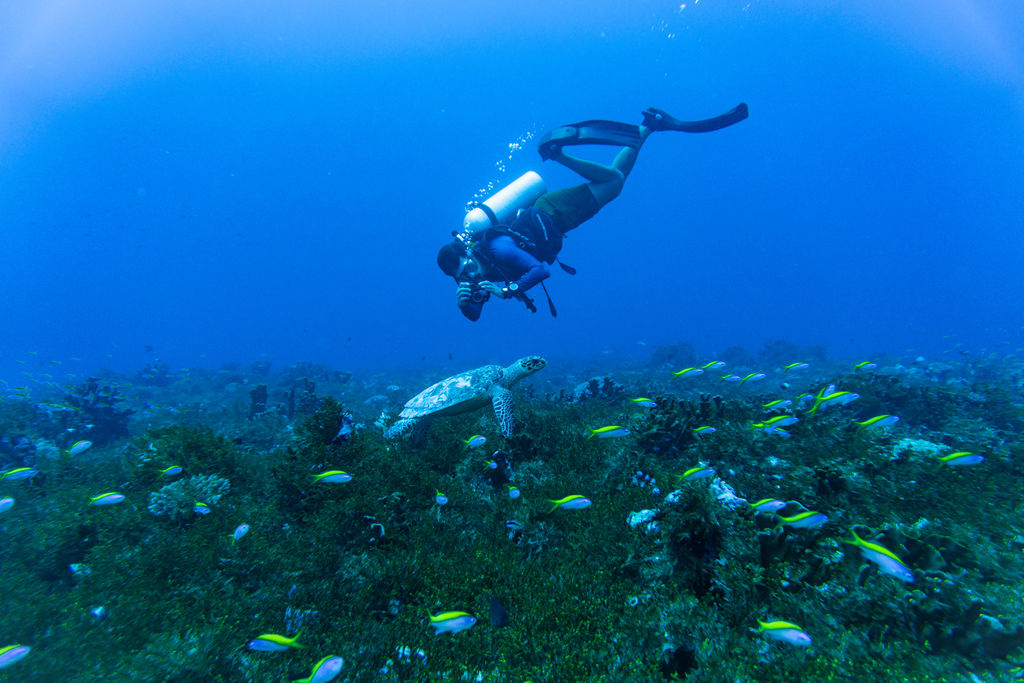 d1ba4d29-215f-474c-8cca-5c5203d35c0a