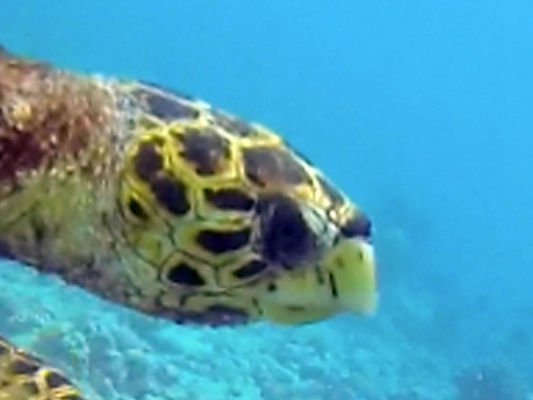 0eb87928-925d-461f-9a3d-66c697da39b5