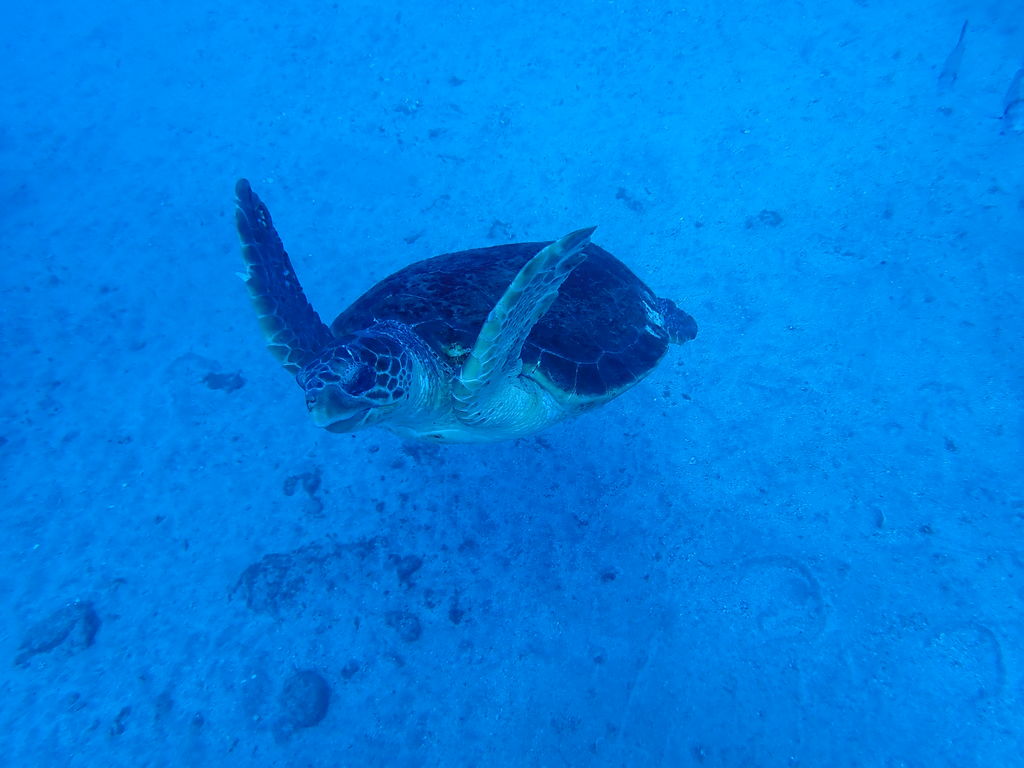 22455060-26d6-4ba9-8791-90f3d419e7af