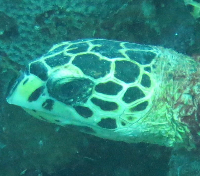 6ed9ddc6-0610-4c94-ba48-e373feee0673