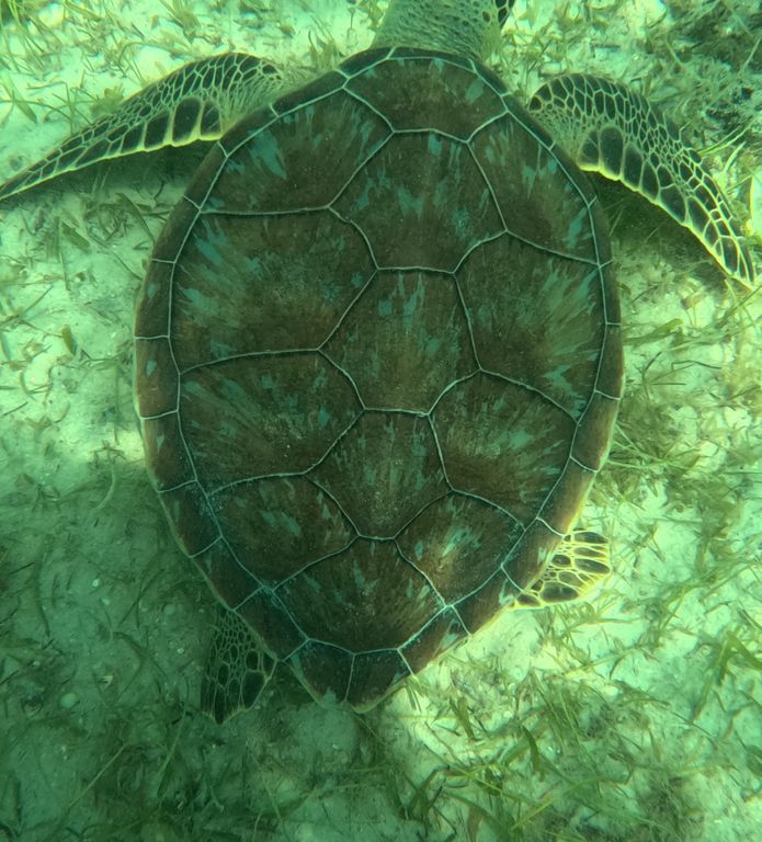 24e12598-eee9-4611-9ed8-4201bdd18114