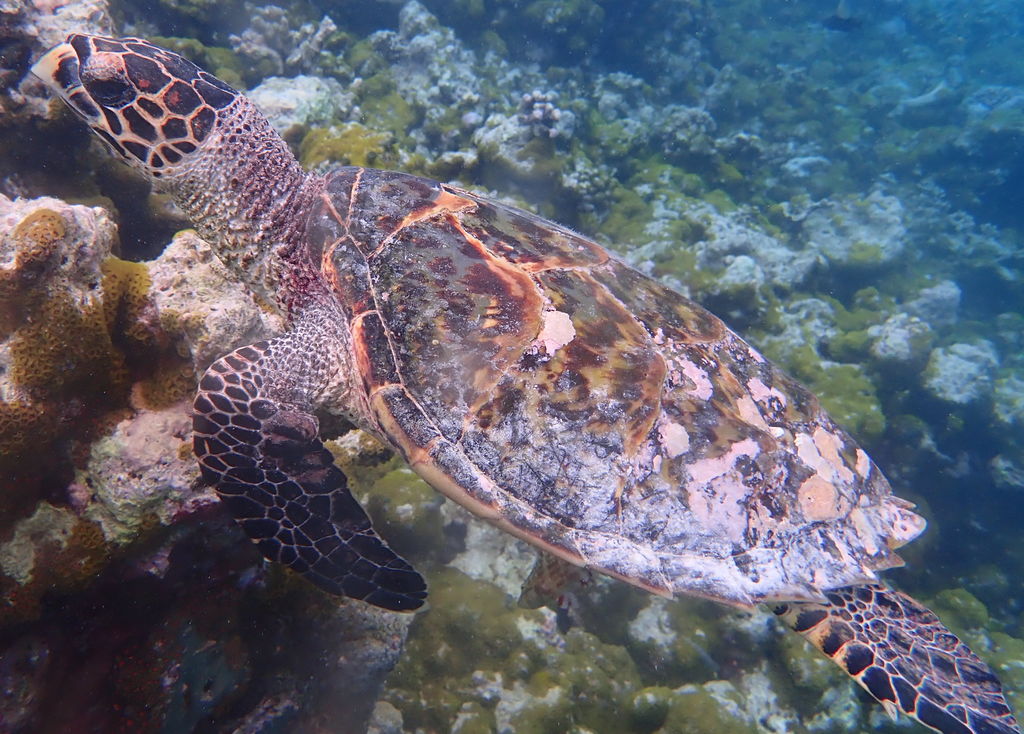 f3a0f362-632d-409c-ba17-1ab0d2547e90