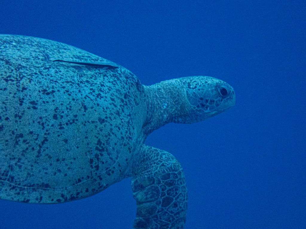 954ec3a5-47c3-47b6-a886-bd60b51c3413