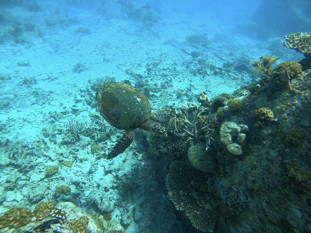 6267510a-941c-4341-a580-b7ba4df4d89a