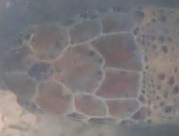 04b0d55b-17f9-4784-b06e-4ccdb0bd0d82