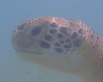 04b0d55b-17f9-4784-b06e-4ccdb0bd0d82