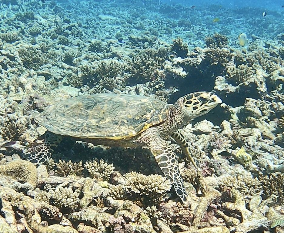 9bf866bd-f587-42fd-b193-da7ab329248d