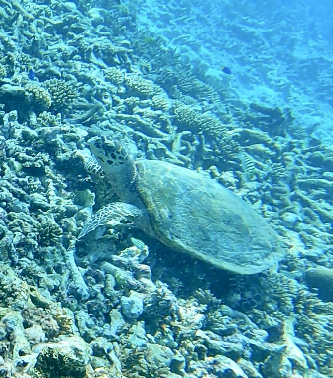 9bf866bd-f587-42fd-b193-da7ab329248d