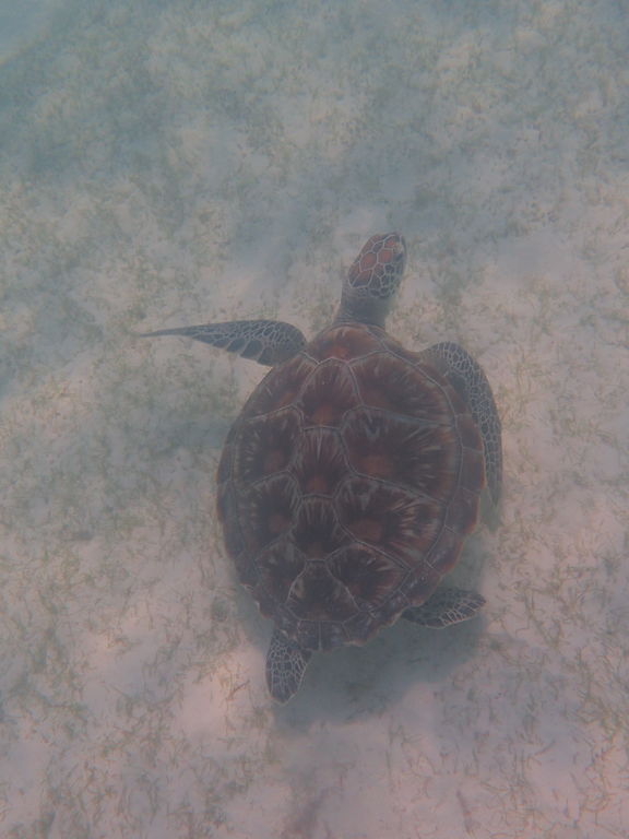 a984637d-4175-4674-810e-ac6e930ebe34