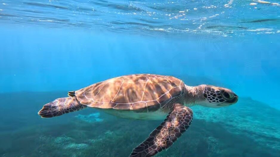 f8ec5389-f42c-4f7d-bf9a-08ff2ab1bcb4