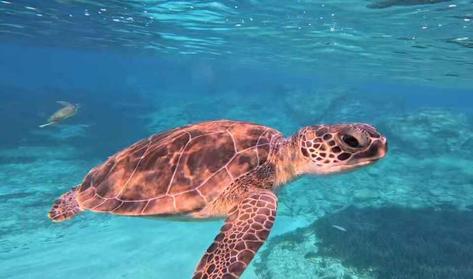 f8ec5389-f42c-4f7d-bf9a-08ff2ab1bcb4