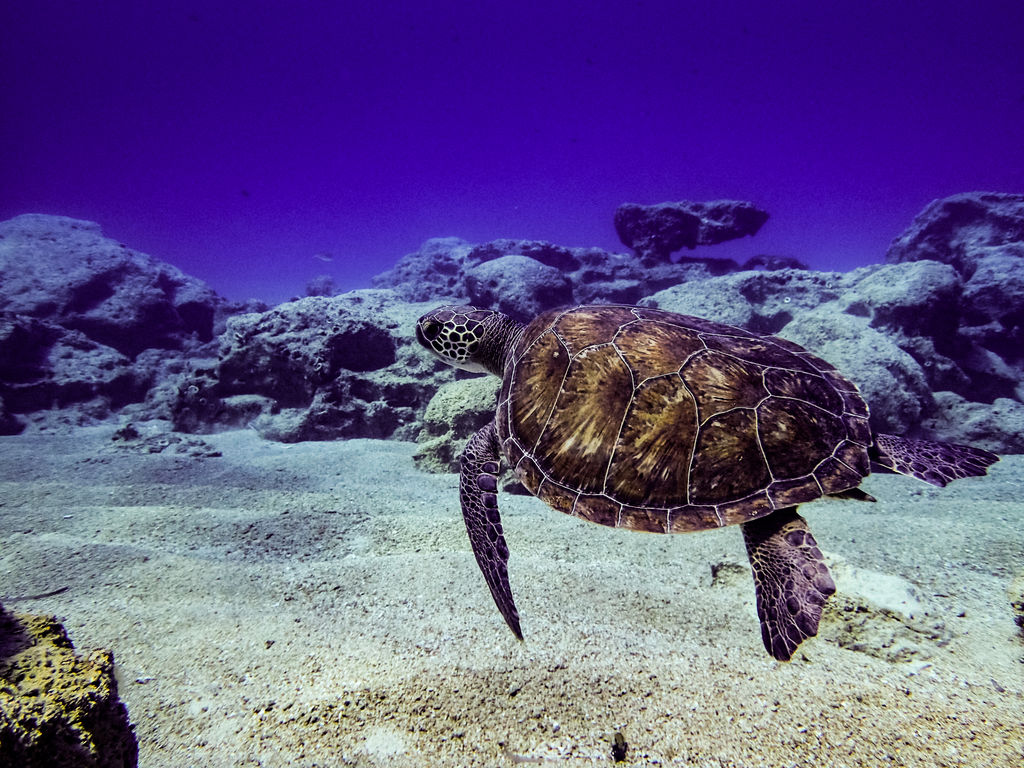 d411d9d7-8010-4bcc-a5f0-3979059439a9