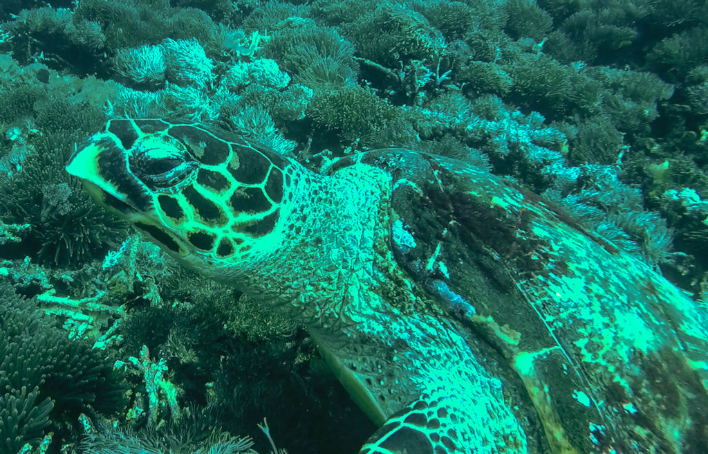 57eacf01-8975-4076-9cf9-19aa697443ea