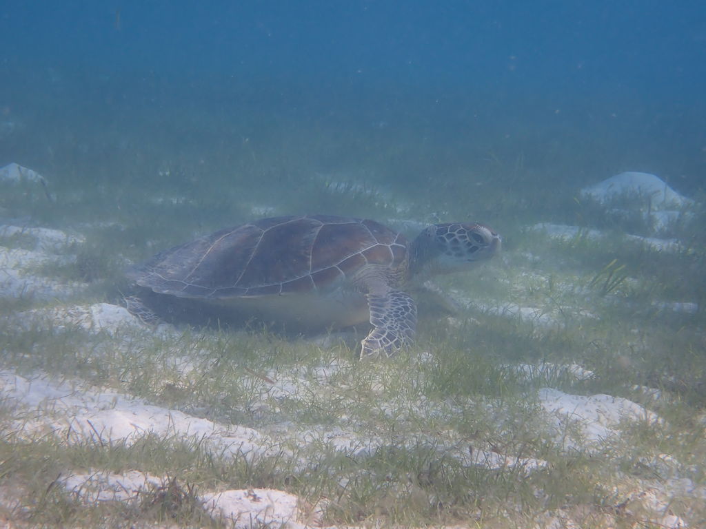 f9f601f2-85d8-46aa-bc1b-8829d998522e