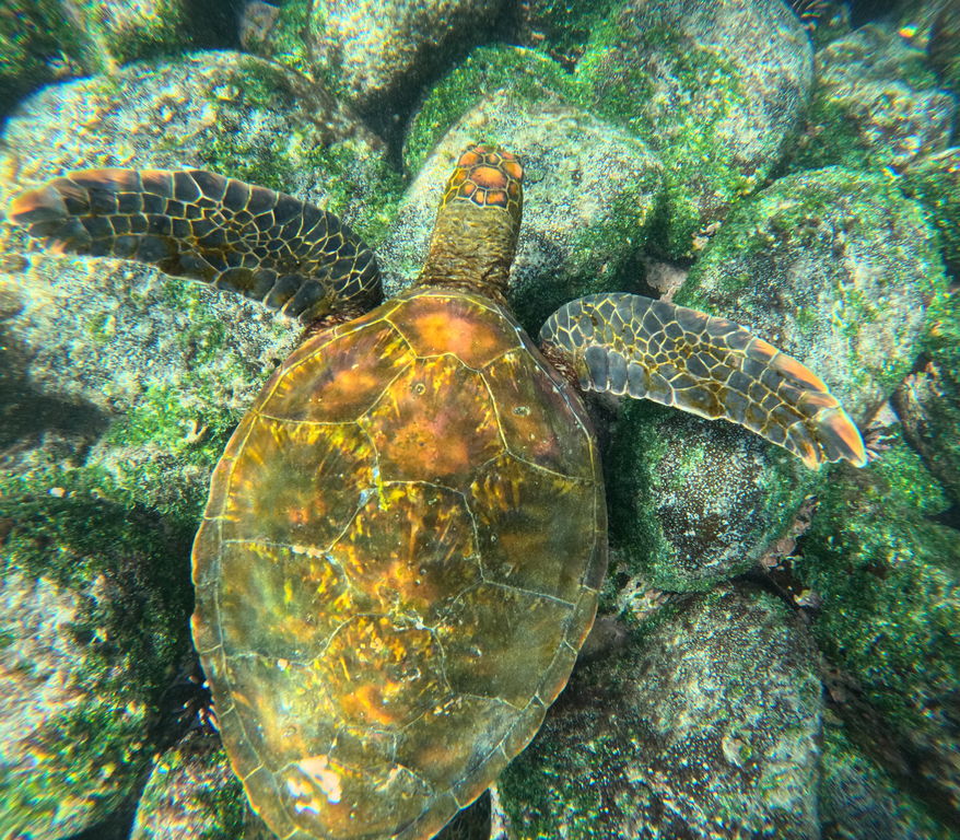 59376270-6b4f-42a3-94a1-75d96d8082b7