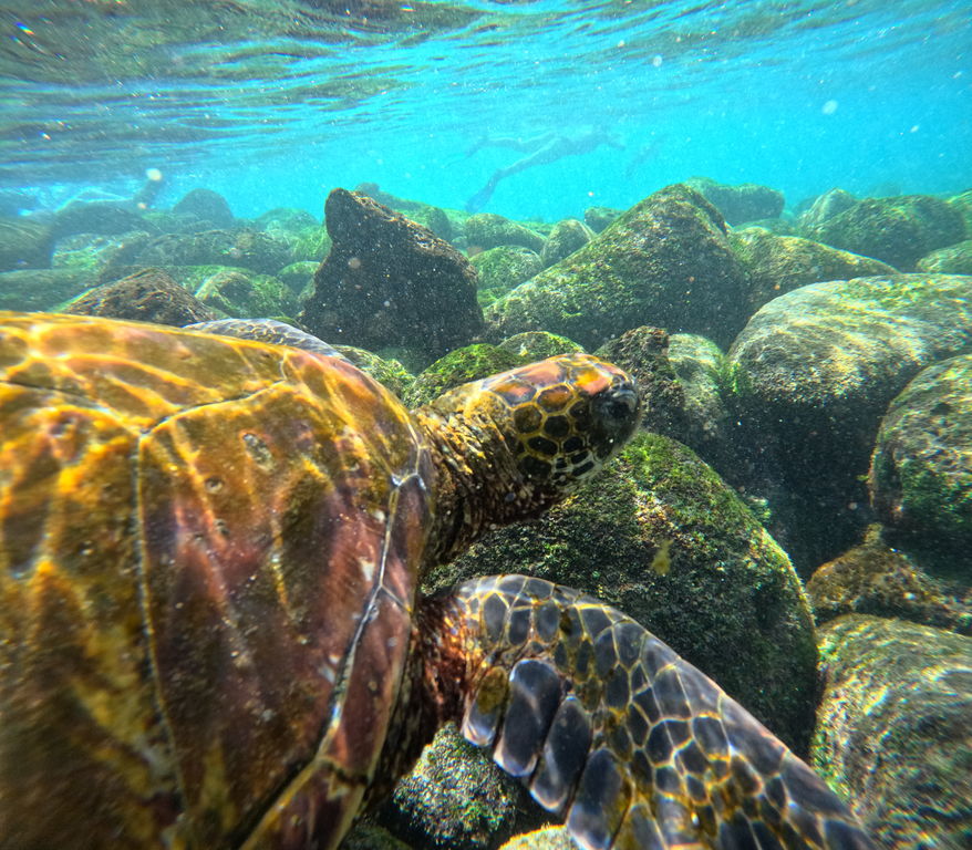 59376270-6b4f-42a3-94a1-75d96d8082b7