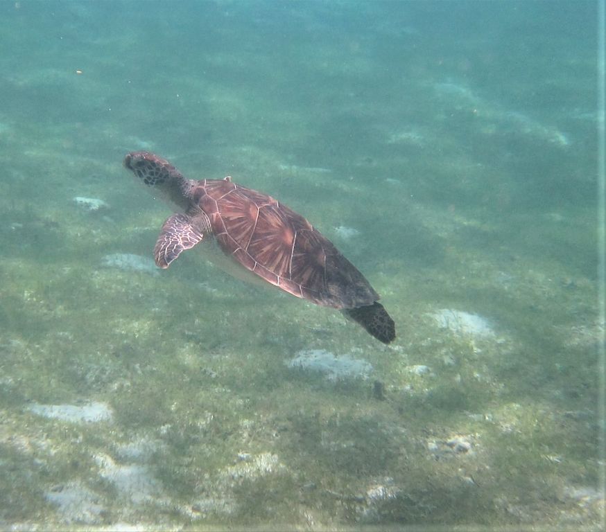 390985b4-9449-49a2-a830-fd57ebd15800