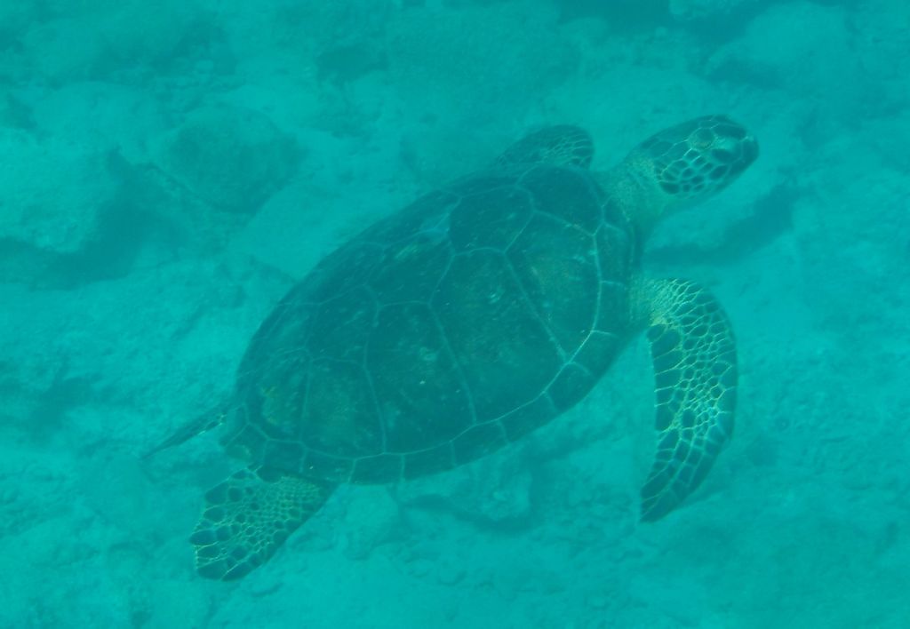 0893d2e8-c874-4c71-b962-5ec6144d8e7b