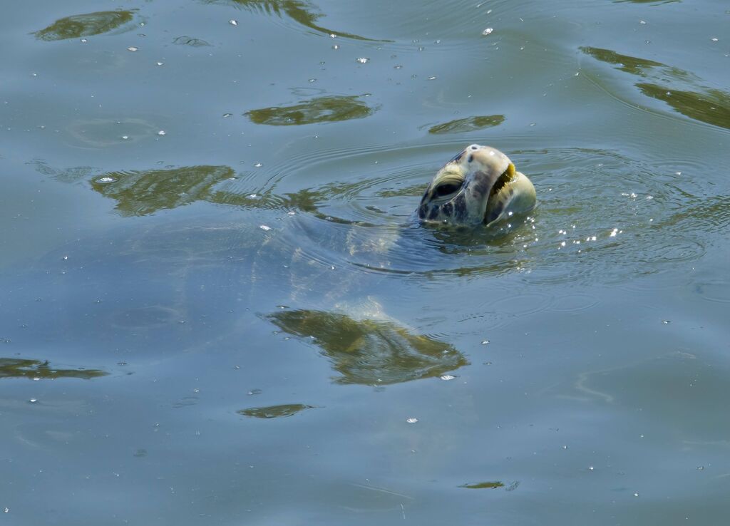 ee13cc25-9aff-4c00-99de-ff936639d70c