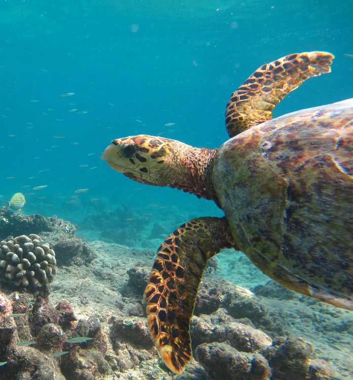 0eb87928-925d-461f-9a3d-66c697da39b5