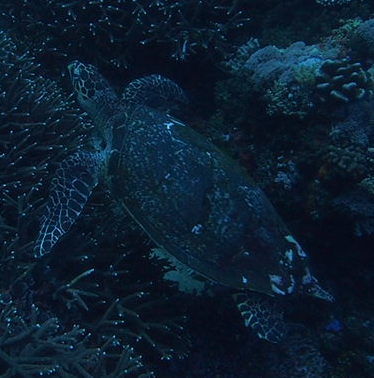 e36d855d-2c5e-4171-8287-ab3faa65b4d0