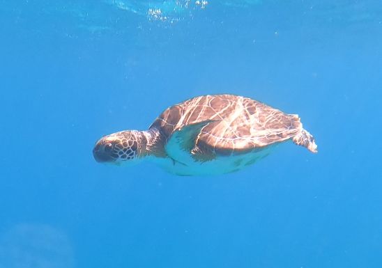 3a00fa41-ec0c-4c5c-aab2-b44d7dc4ac5a