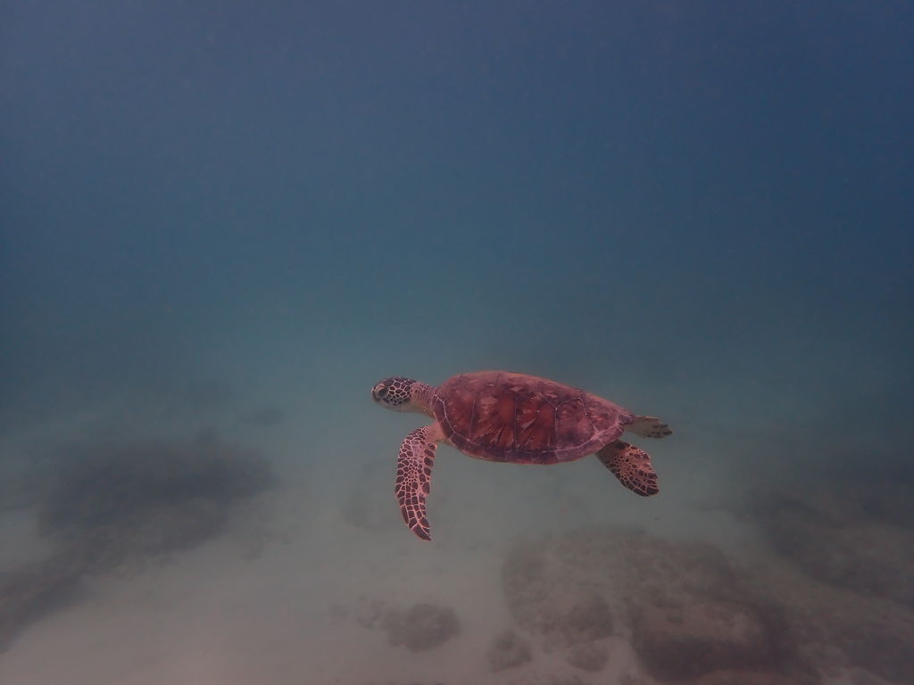 8a4b5dd9-1edd-4a4d-888f-e2644ab4effb