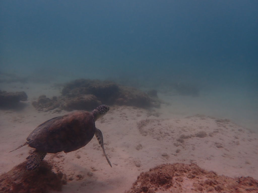 8a4b5dd9-1edd-4a4d-888f-e2644ab4effb