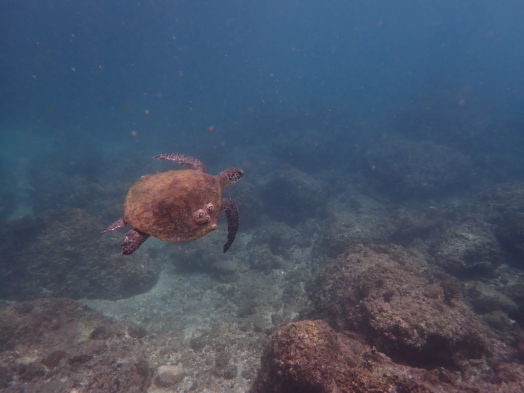 ca3057a0-383c-4362-9e26-63eb9a12fc61