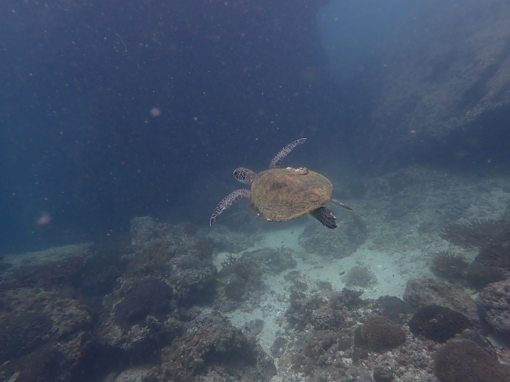 ca3057a0-383c-4362-9e26-63eb9a12fc61