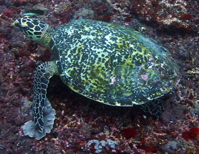 909c6108-329e-4d64-b02d-edea6e423812