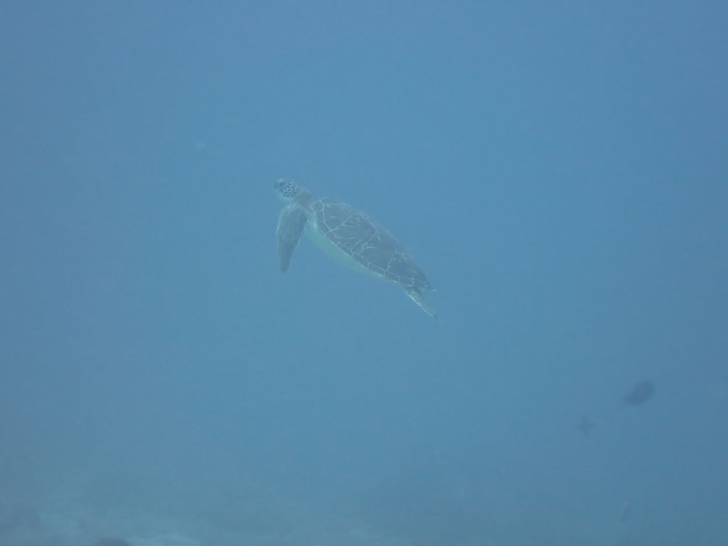 e4465be5-4460-48b9-97f6-d887397a9e88