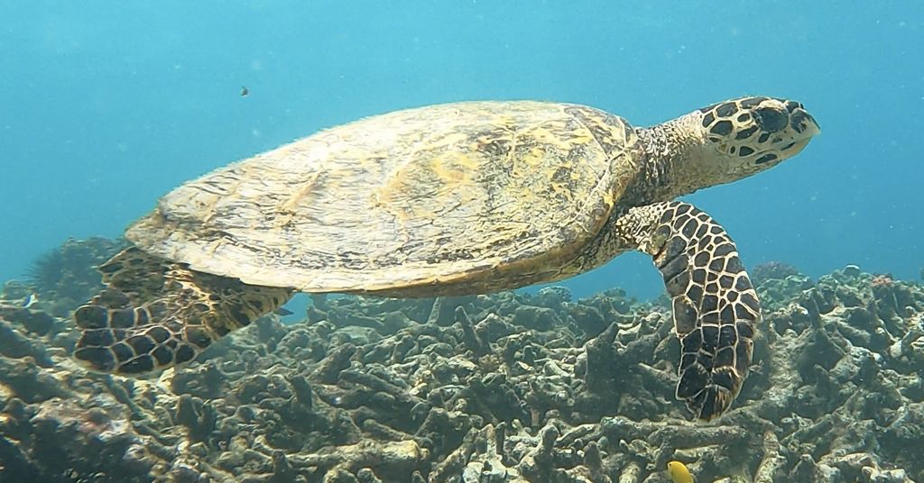 eb1c848e-0666-4b90-b27e-e63effa52d27