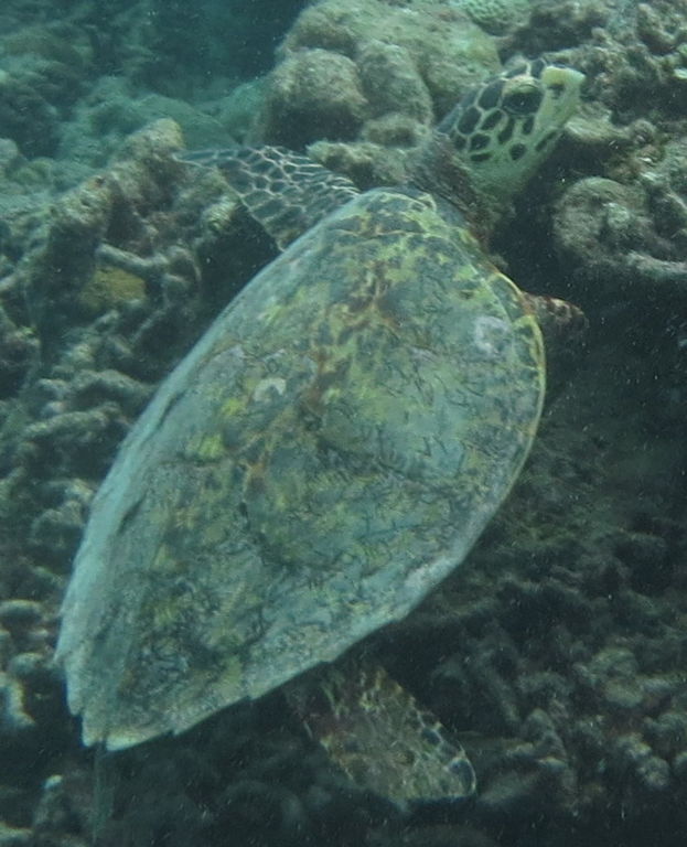 6ed9ddc6-0610-4c94-ba48-e373feee0673