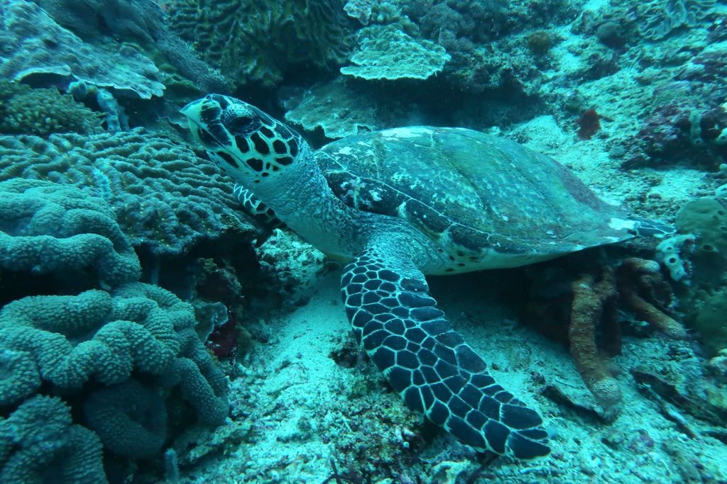 9952cb61-5ebb-4214-845a-e4ced2c058d2