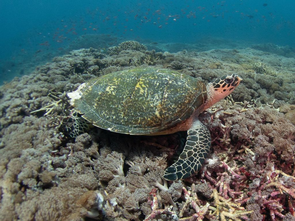 6969c750-1691-49bb-a5e6-f9c55309f845