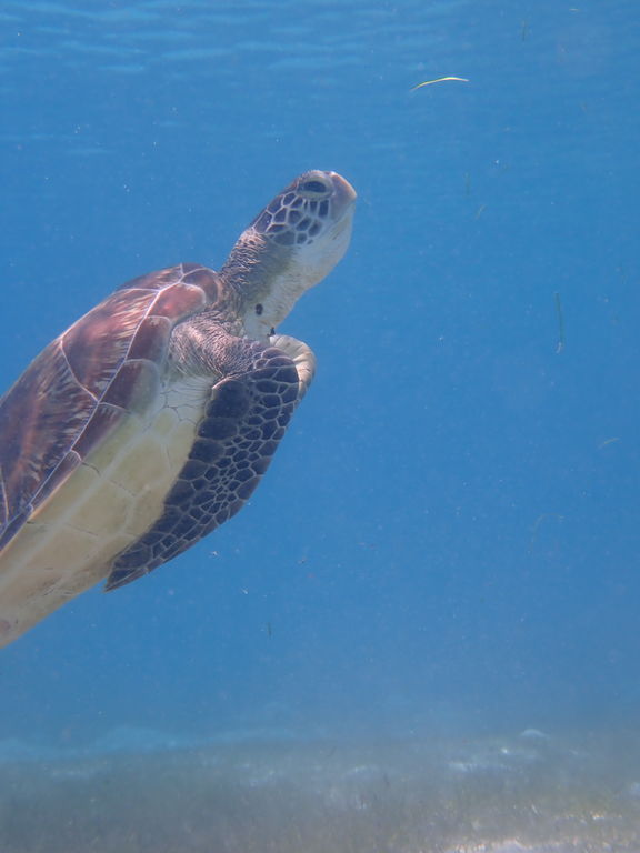 f9f601f2-85d8-46aa-bc1b-8829d998522e