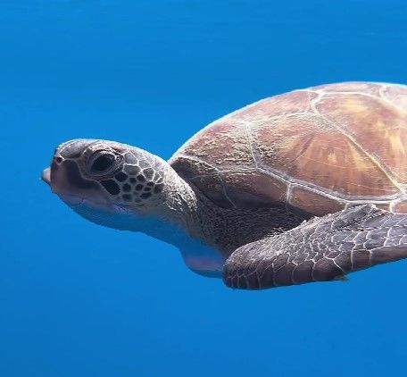 a8b9f114-cb45-4c3a-a679-4df4e335243a