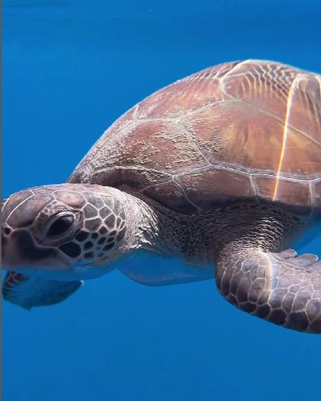 a8b9f114-cb45-4c3a-a679-4df4e335243a