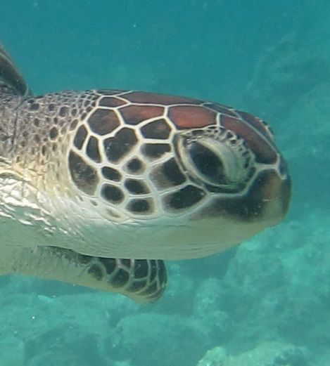 22bafdde-8da3-48e7-b48d-72ad3cdc7a61